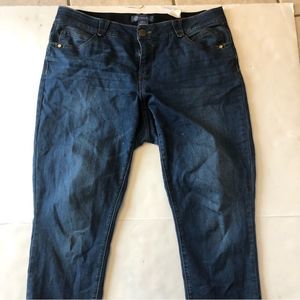 Democracy Ab Technology Jeans Women's Plus Size 18W Skinny Denim Stretch Comfort